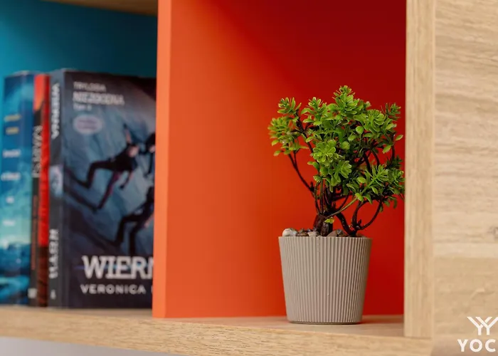 Blue By Yoca * 그디니아